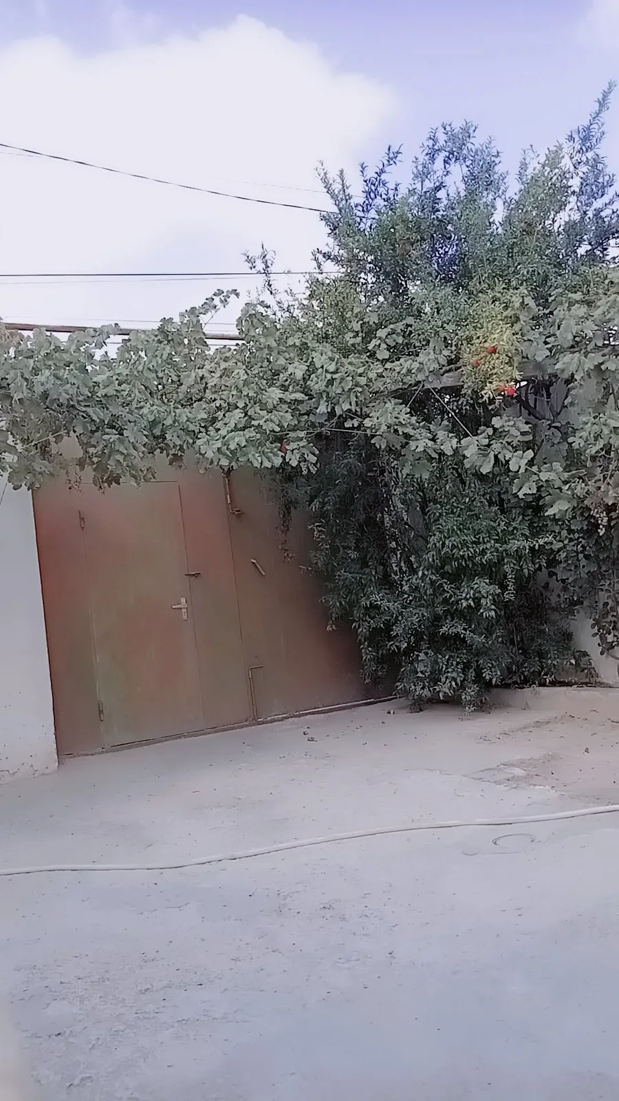 Binəqədi r., Bakı Həyət evi
