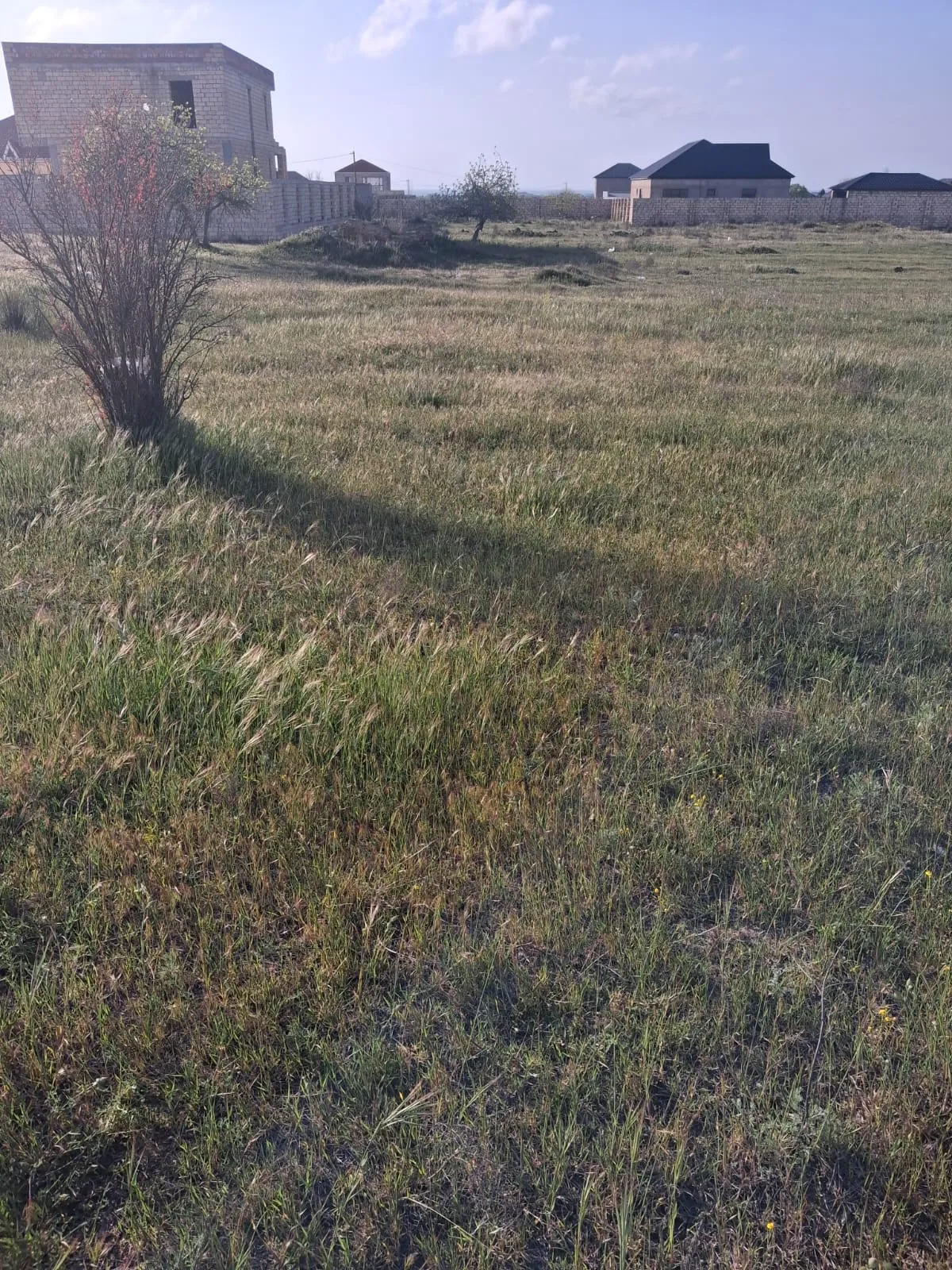 Torpaq satılır Ləhiş bağları, 12 m² – 130 000 ₼ | EvNet