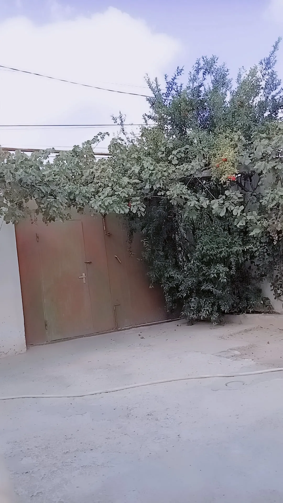 4 otaqlı Həyət evi satılır Binəqədi r., Bakı – 42 500 ₼